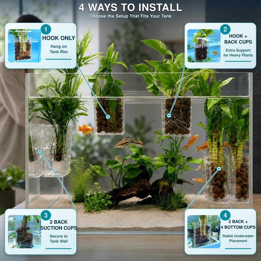 Xenhrun en usage sur nano aquarium montrant espace de nage conservé