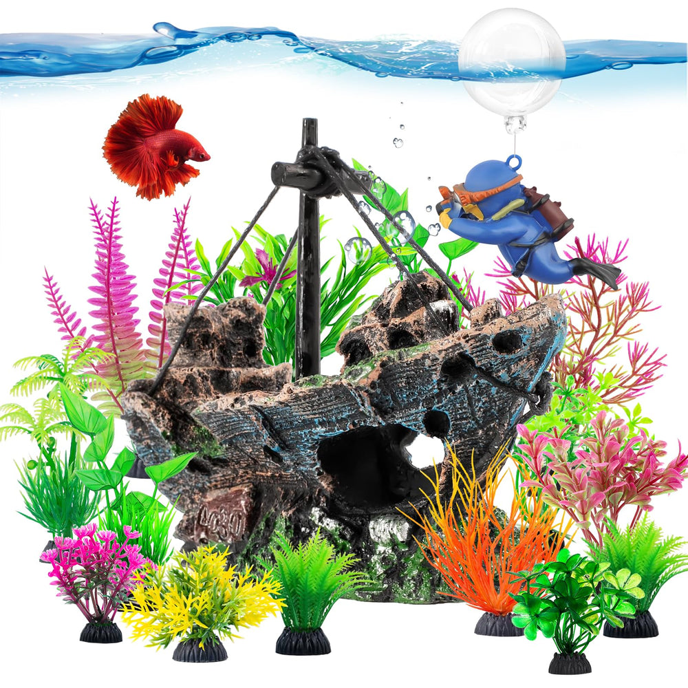 Xereooe épave face montrant détails décoratifs et sûreté pour aquarium