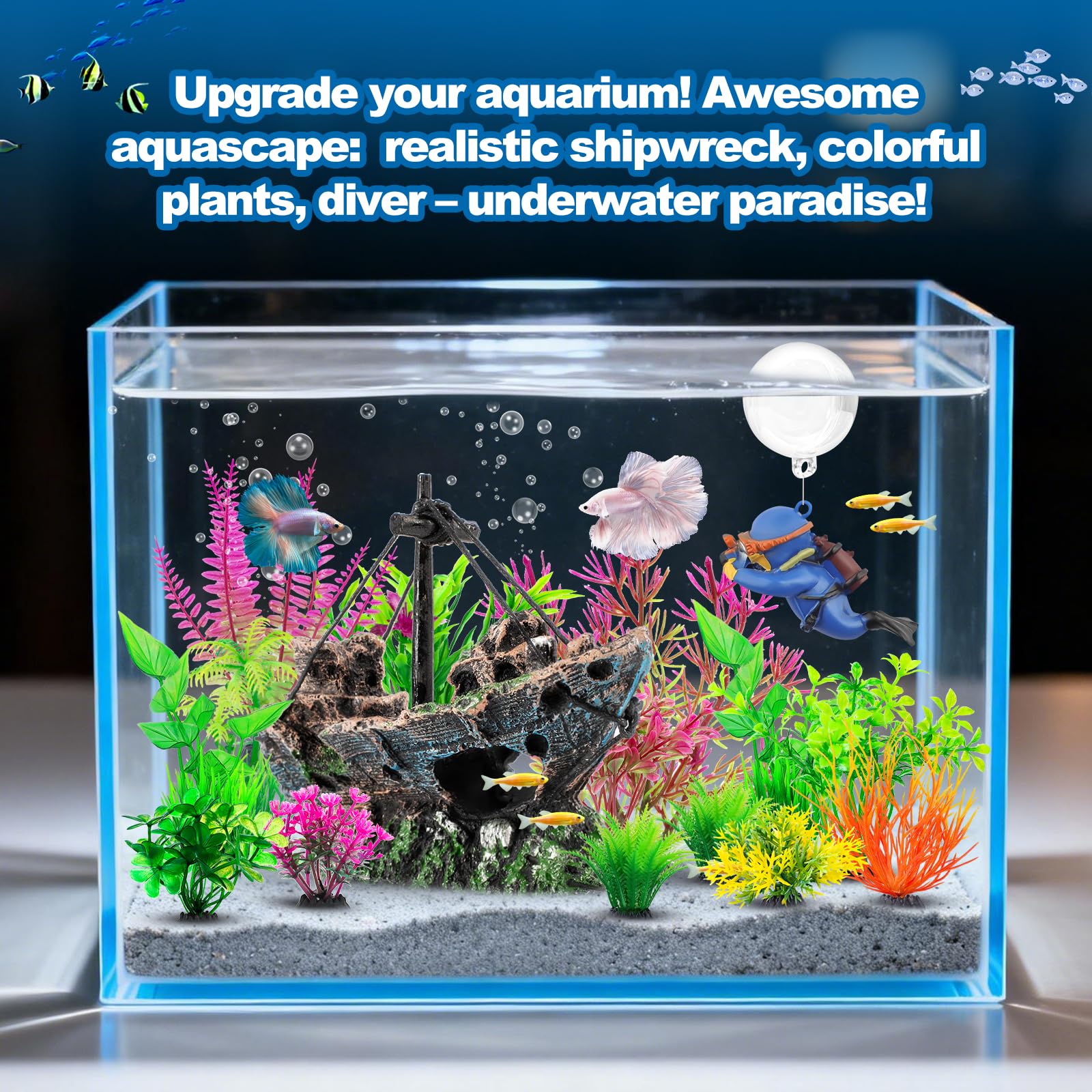Xereooe touffes de plantes disposées apportant couleur et abri aux poissons