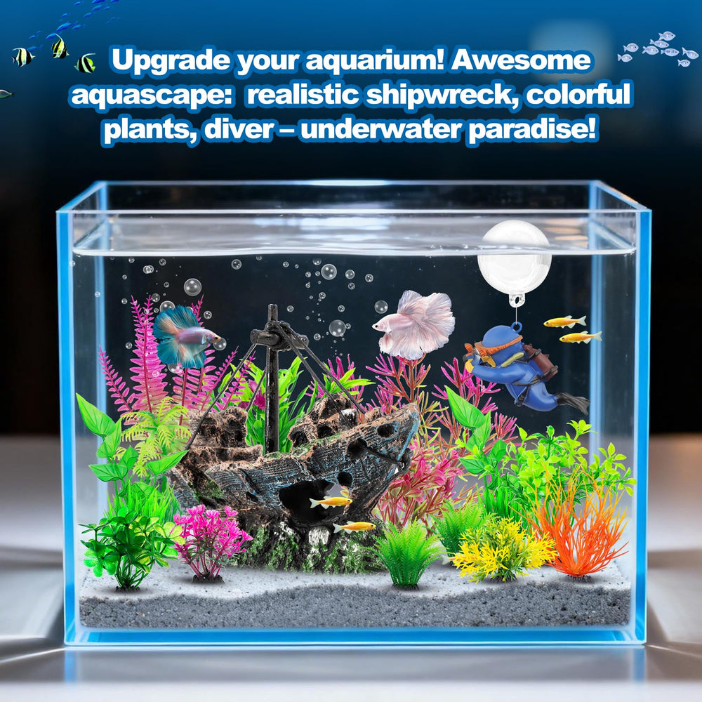 Xereooe touffes de plantes disposées apportant couleur et abri aux poissons