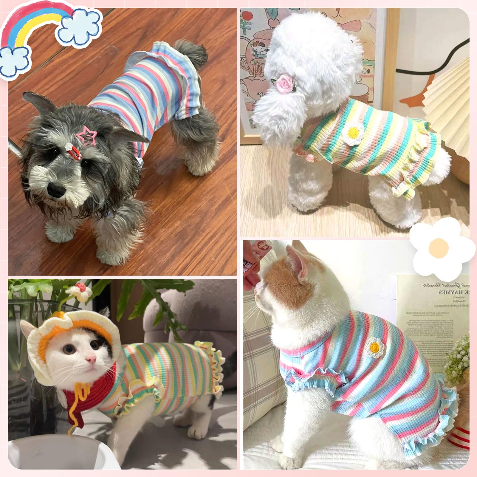 XGDMEIL chien à une fête d'anniversaire affichant look festif