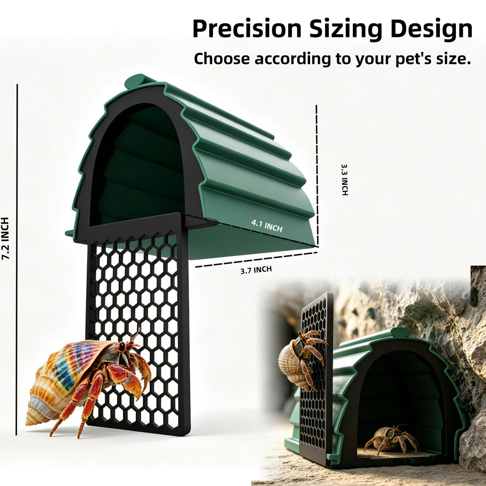 XIAOXINGYUN dans terrarium décoratif enrichissant habitat naturel
