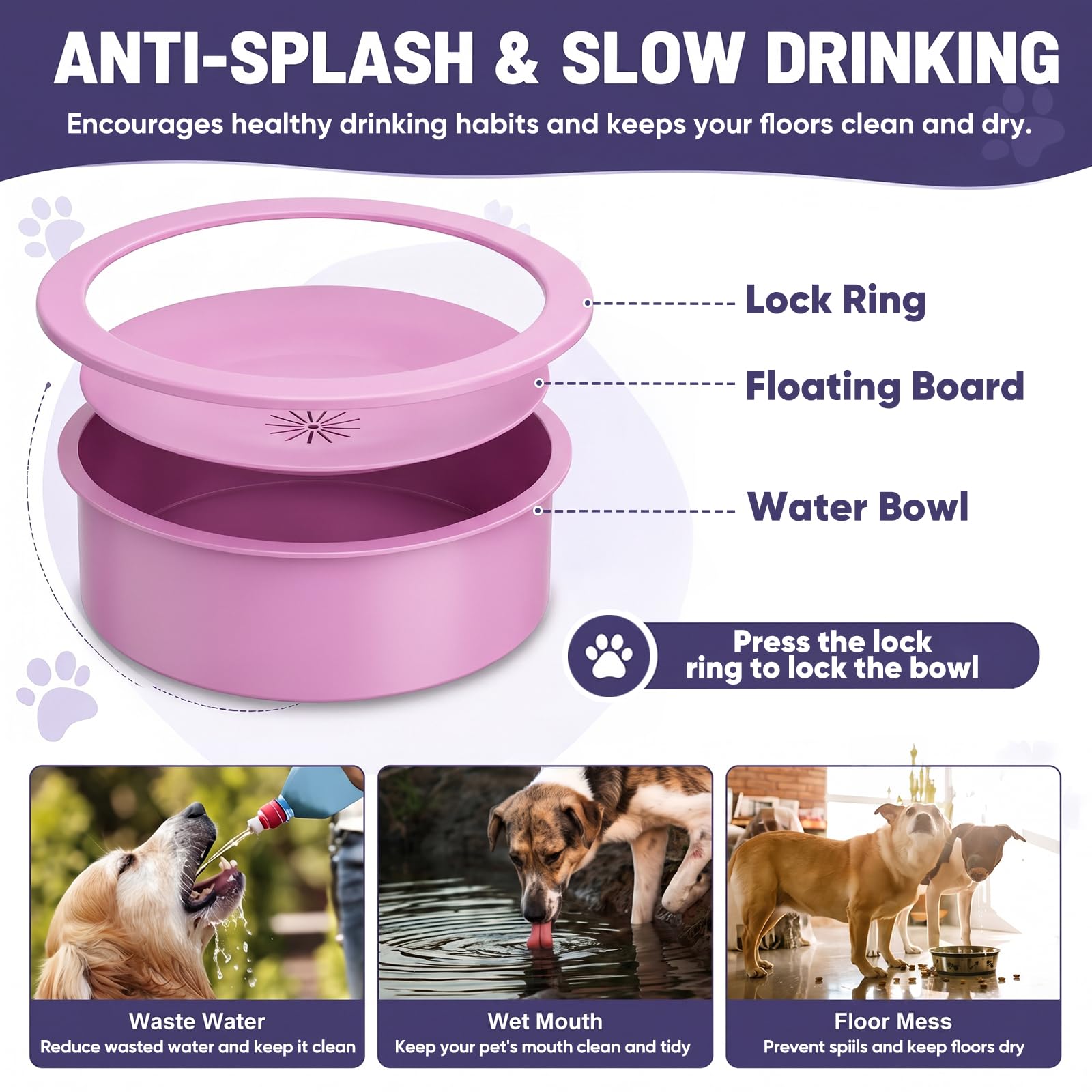 XiaZ comparaison taille montrant position adaptée pour chien de grande race
