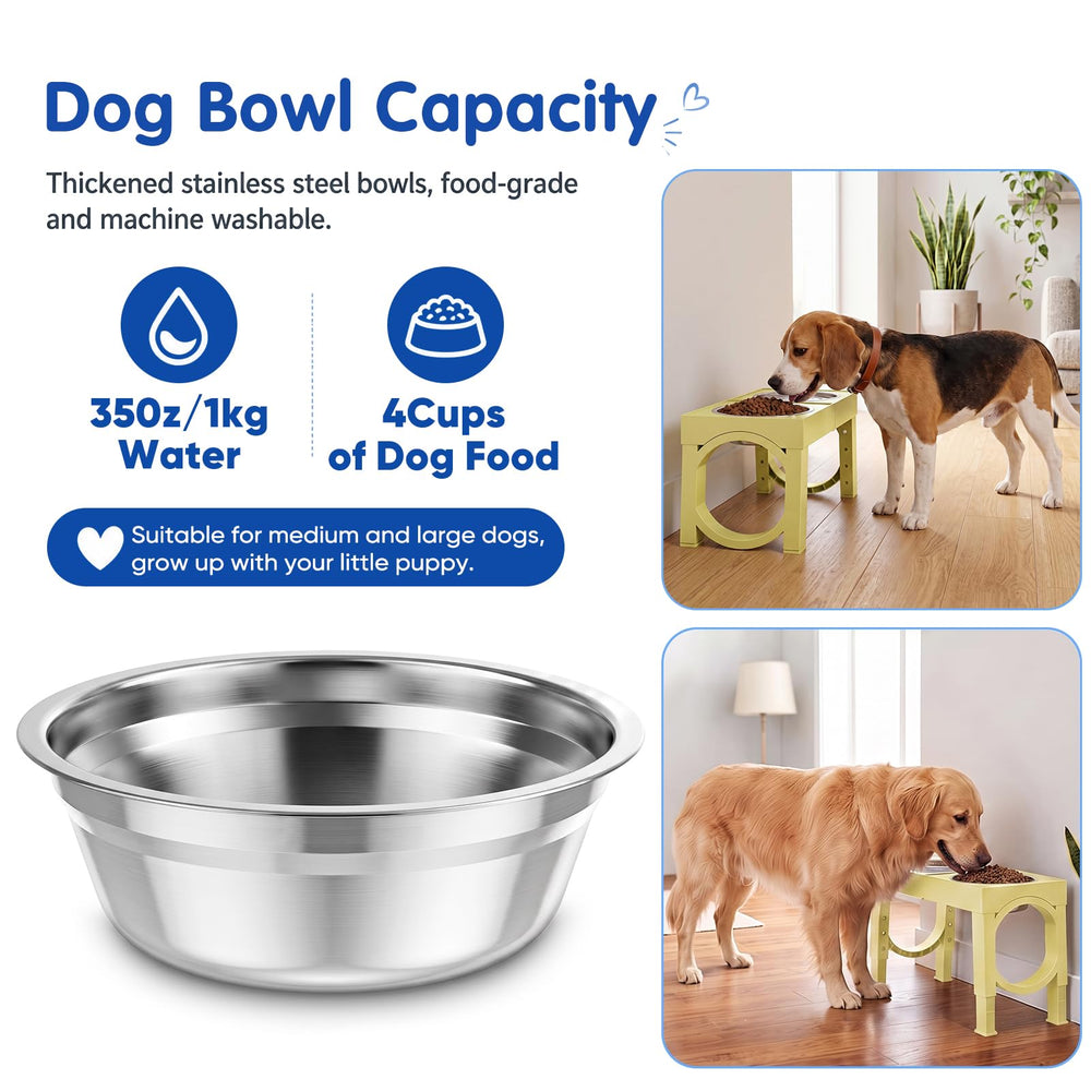 XiaZ gamelle en usage par grand chien améliorant la posture