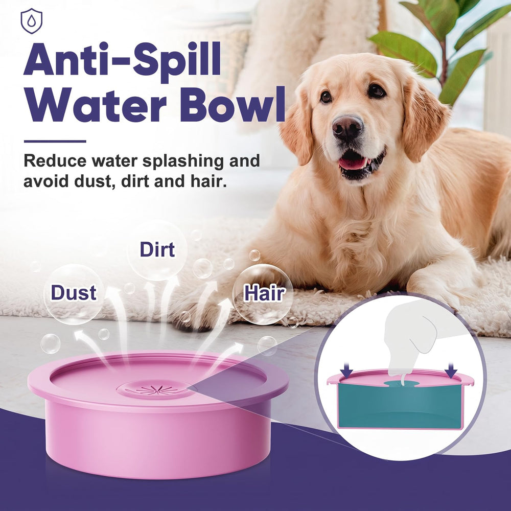 XiaZ gamelles en usage par un grand chien, posture plus confortable