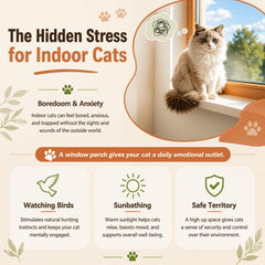 XiaZ chat observe les oiseaux depuis le hamac, stimulation visuelle