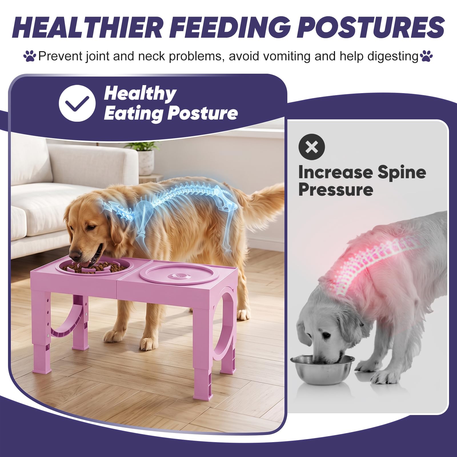 XiaZ affichant réglages de hauteur, adaptabilité pour différentes tailles de chien
