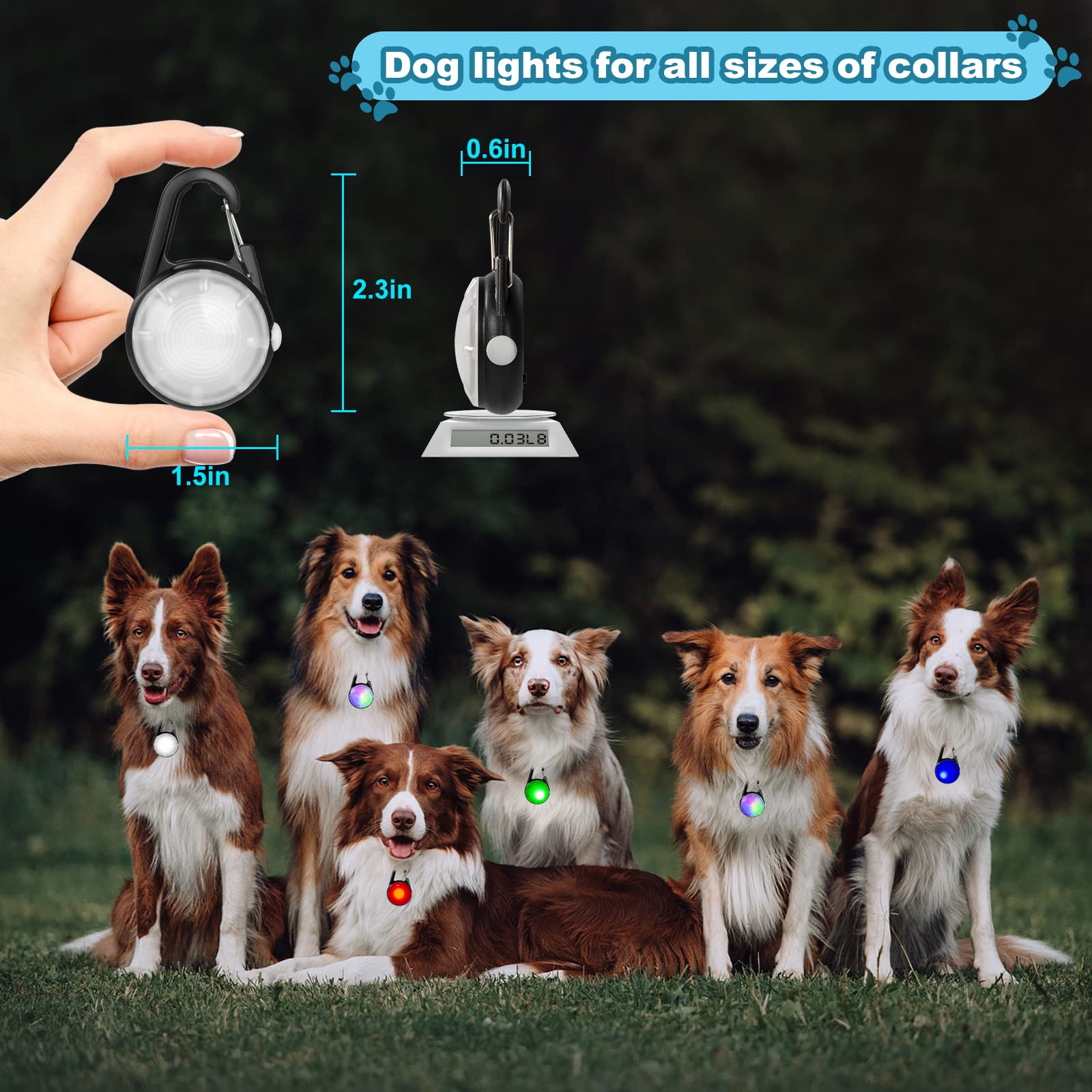 XIEYOUWXS lampe allumée lors d'une promenade nocturne démontrant visibilité et tranquillité d'esprit
