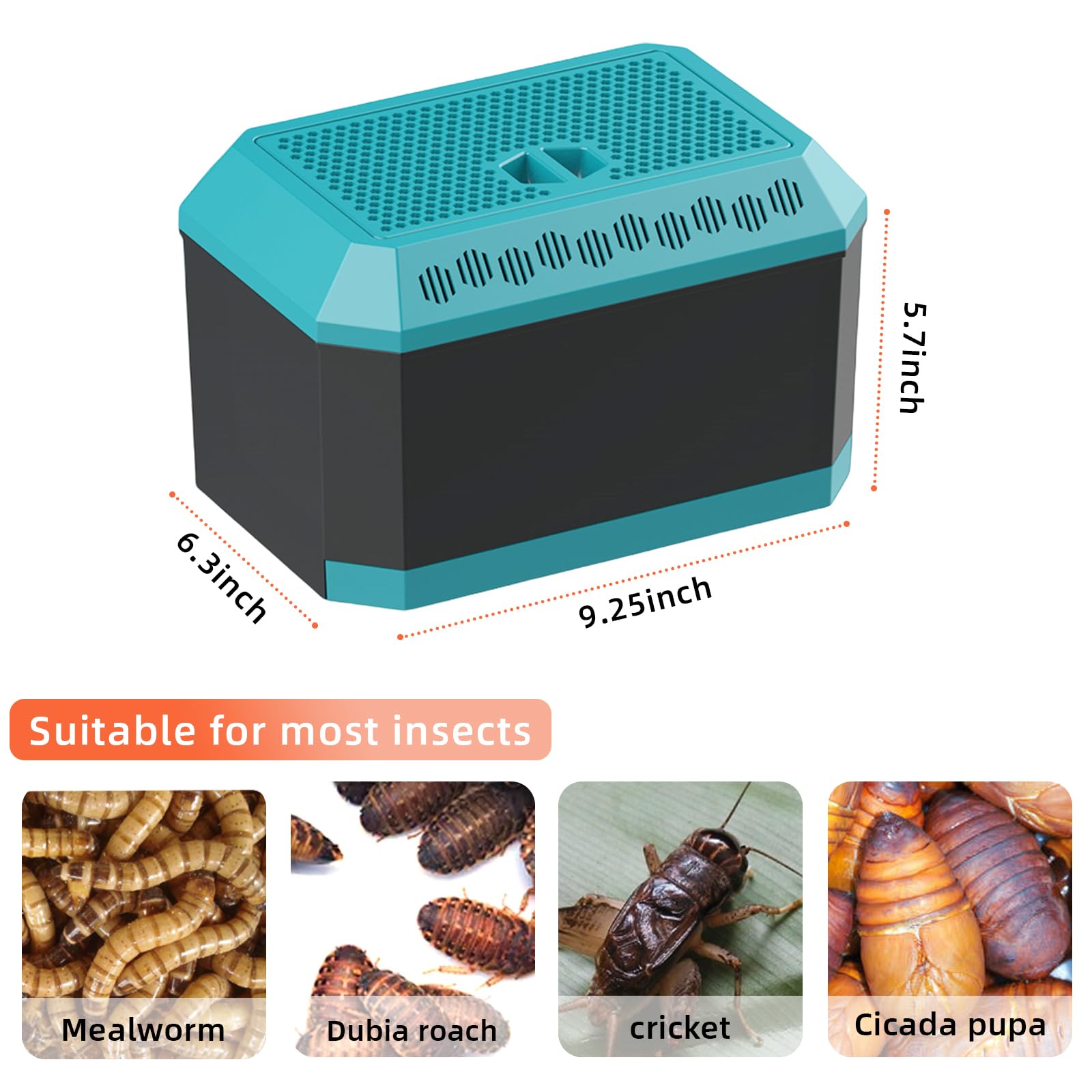 XIGETRAIL couvercle magnétique ouvert pour nourrir facilement les insectes