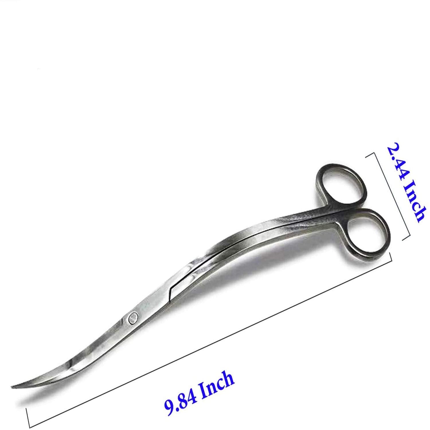 XILEWHZF gros plan lame inox brillant pour coupes nettes