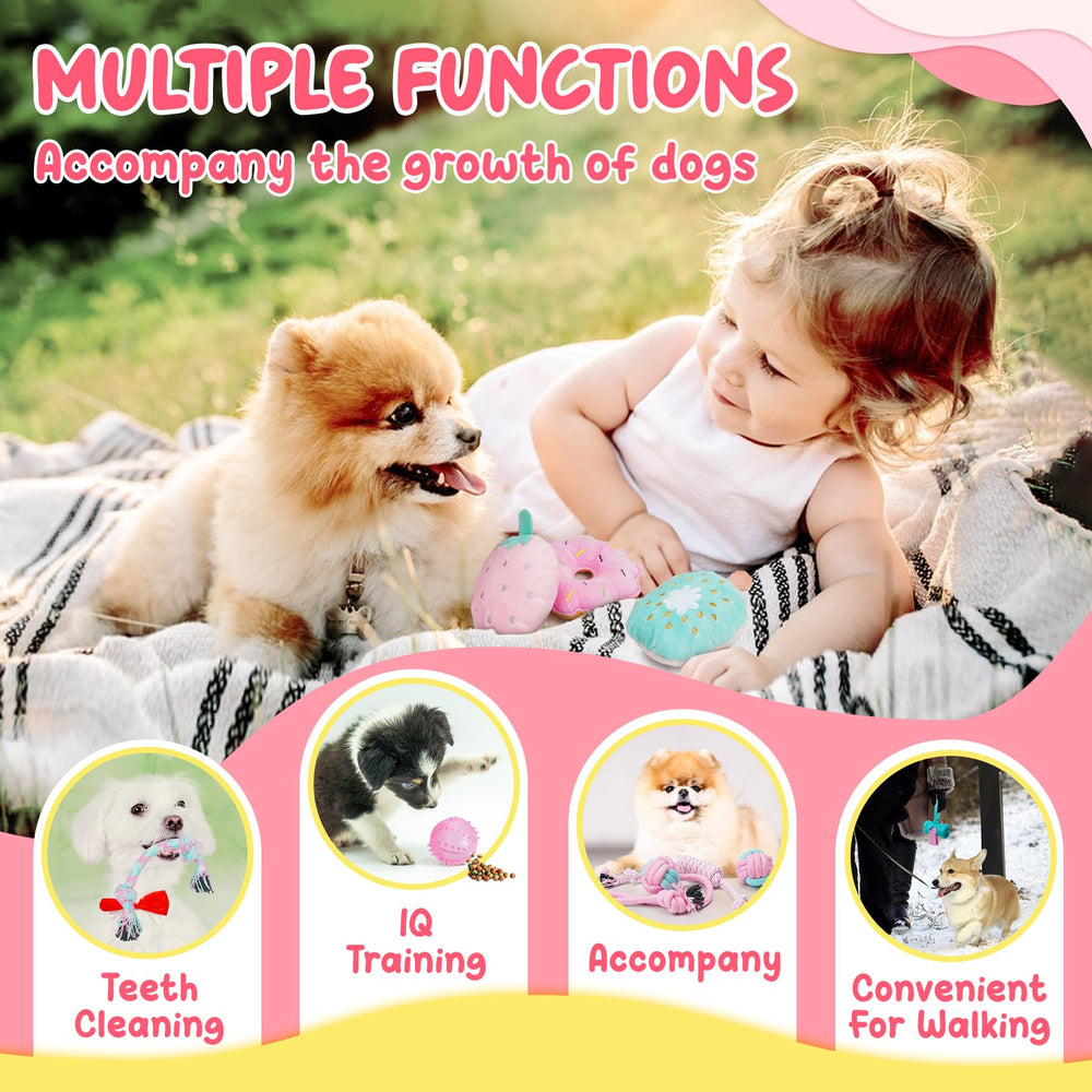 XIUGOAL balle distributrice montrant stimulation mentale et récompense en friandise