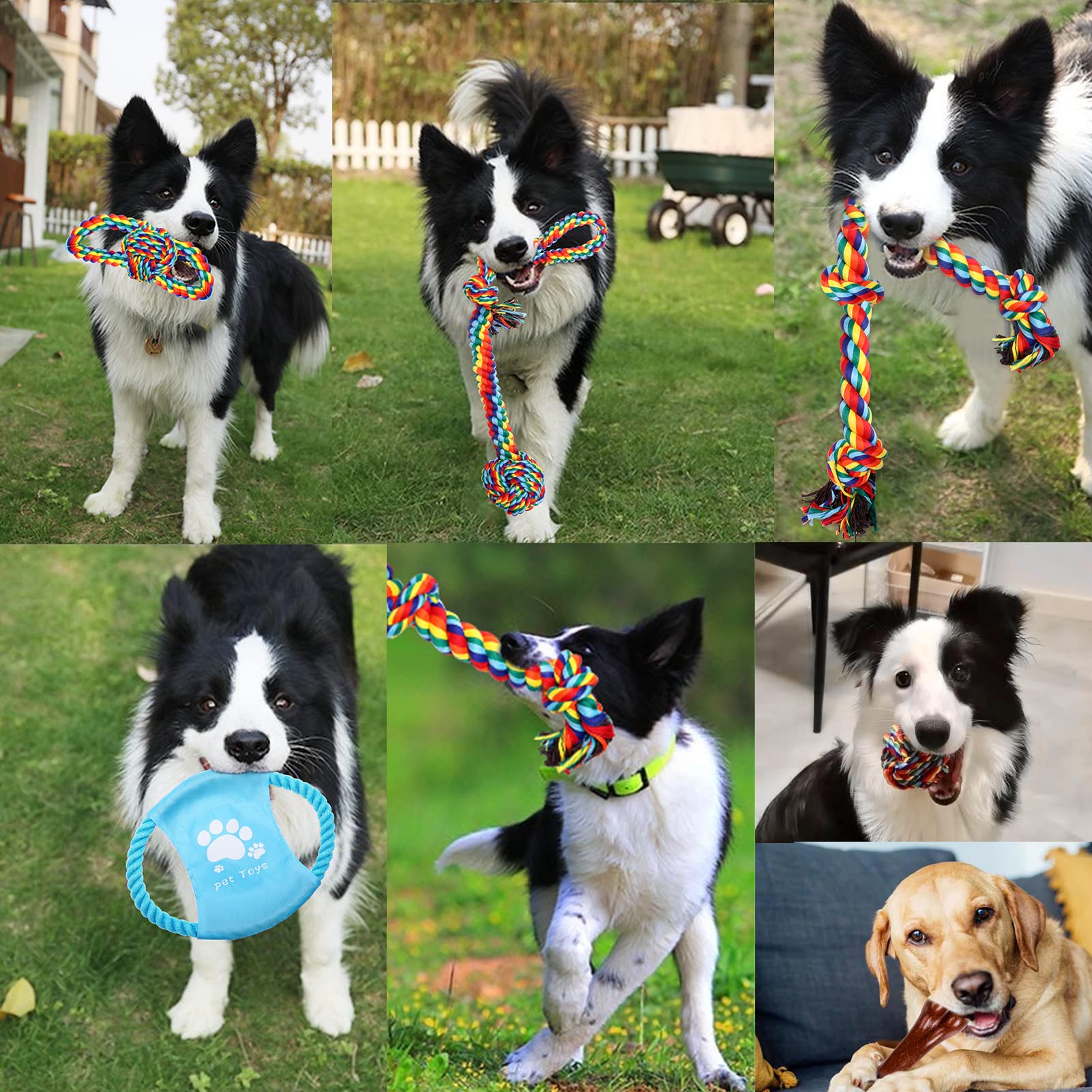 XLMYS comparaison d'échelle montrant taille des jouets par rapport à un chien moyen