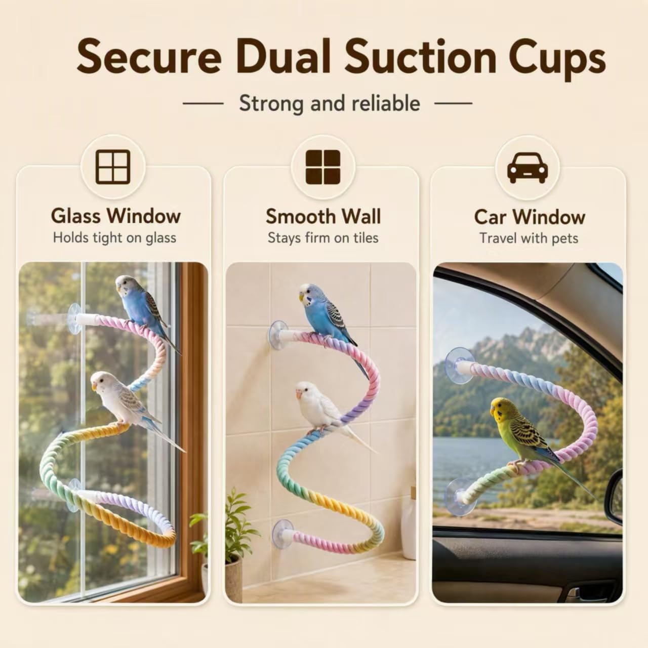 Perroquet utilisant le perchoir Xorabuddy fixé sur une fenêtre pour jouer