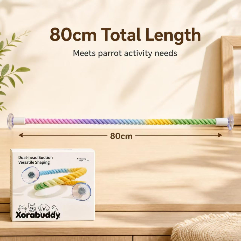 Perchoir Xorabuddy installé près d'une fenêtre en salon pour stimulation visuelle