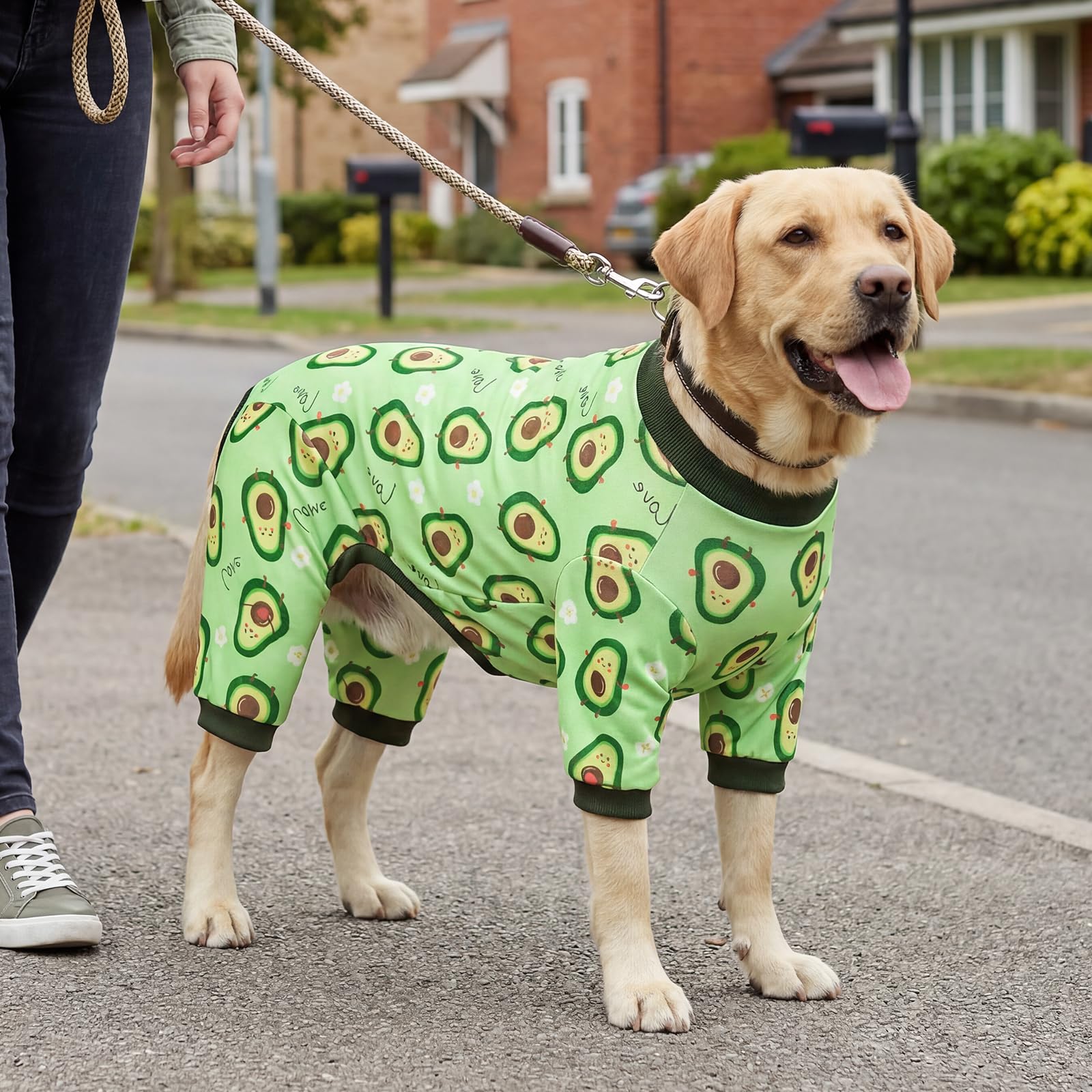 XPUDAC chien porte le onesie en marche, liberté de mouvement garantie