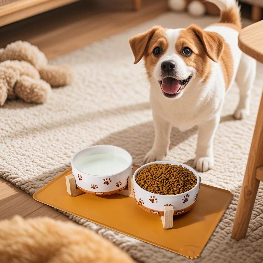 XRBEOU comparaison taille montrant capacité 32 oz adaptée chiens