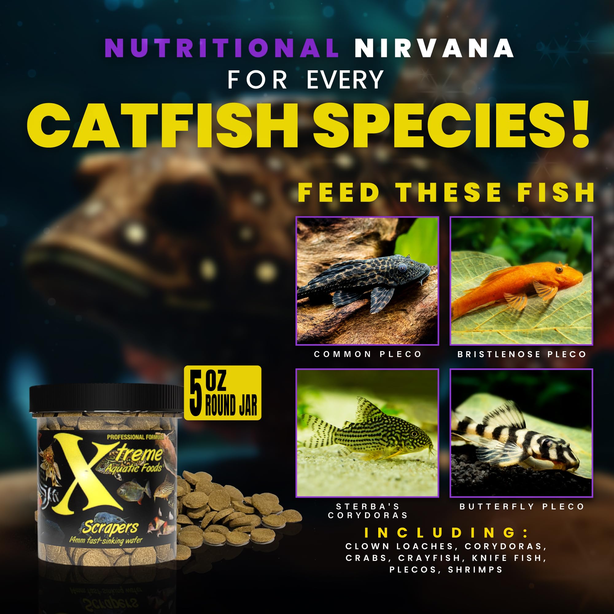 Xtreme Aquatic Foods wafers dans la main illustrant taille pratique pour distribution