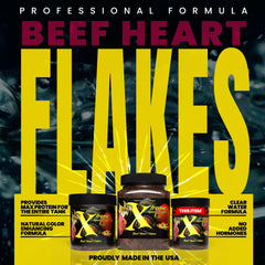 Xtreme Aquatic Foods gros plan des flocons montrant texture digestible