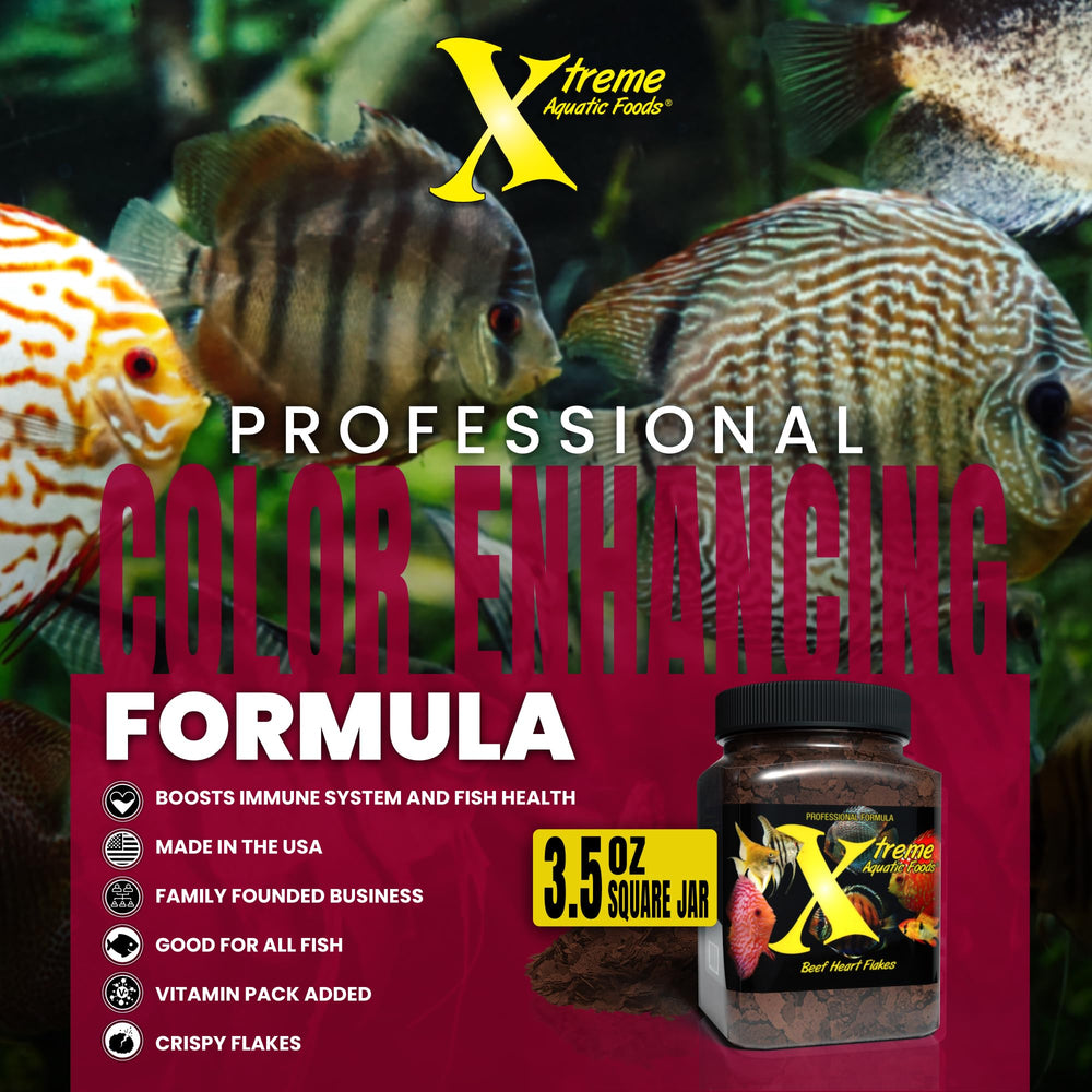 Xtreme Aquatic Foods cœur de bœuf ingrédient principal garantissant protéines concentrées