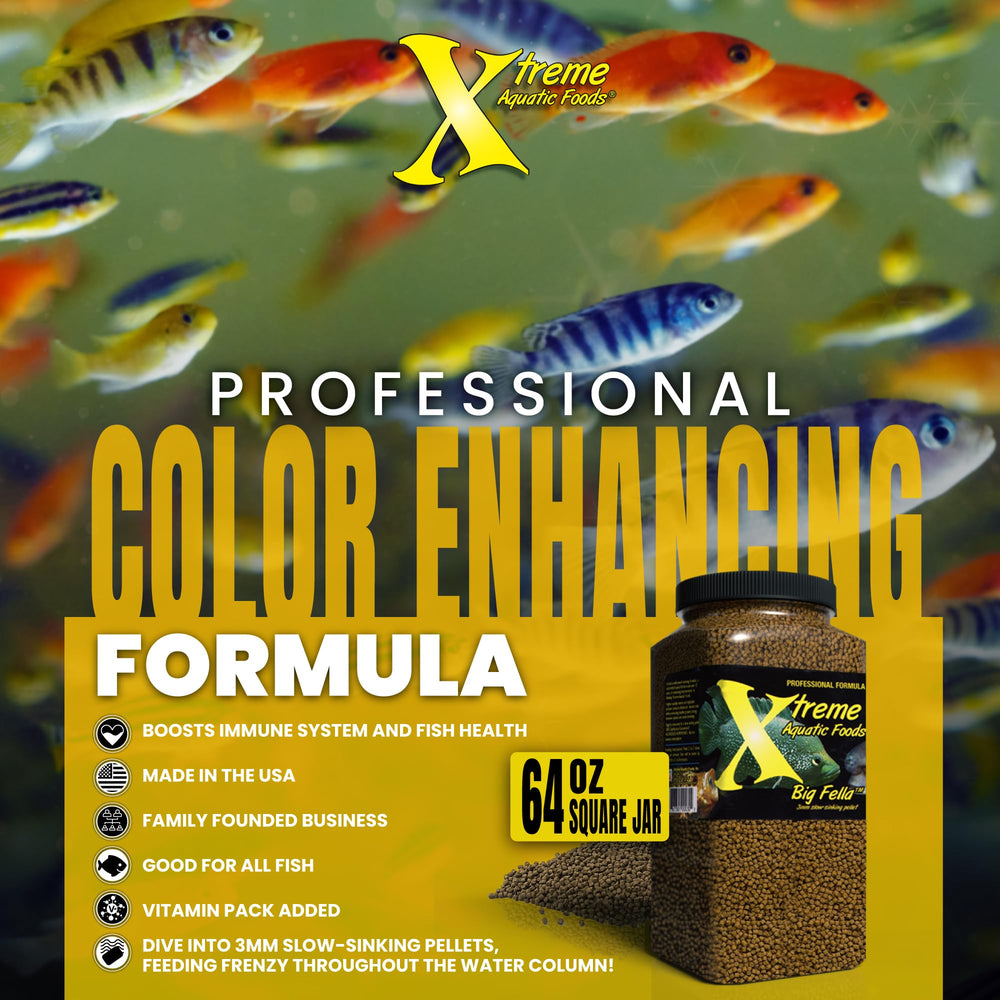 Xtreme Aquatic Foods comparaison taille granulé montrant adéquation bouche