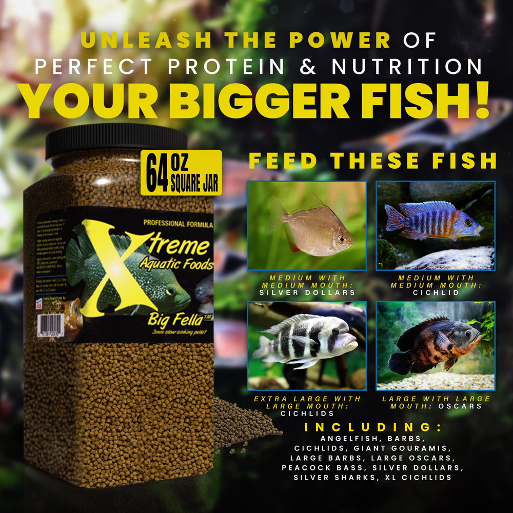 Xtreme Aquatic Foods étiquette nutritionnelle montrant ingrédients marins