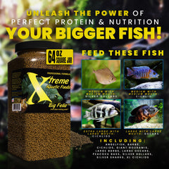 Xtreme Aquatic Foods étiquette nutritionnelle montrant ingrédients marins