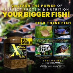 Xtreme Aquatic Foods granulés flottant dans l'eau pour appétit visible