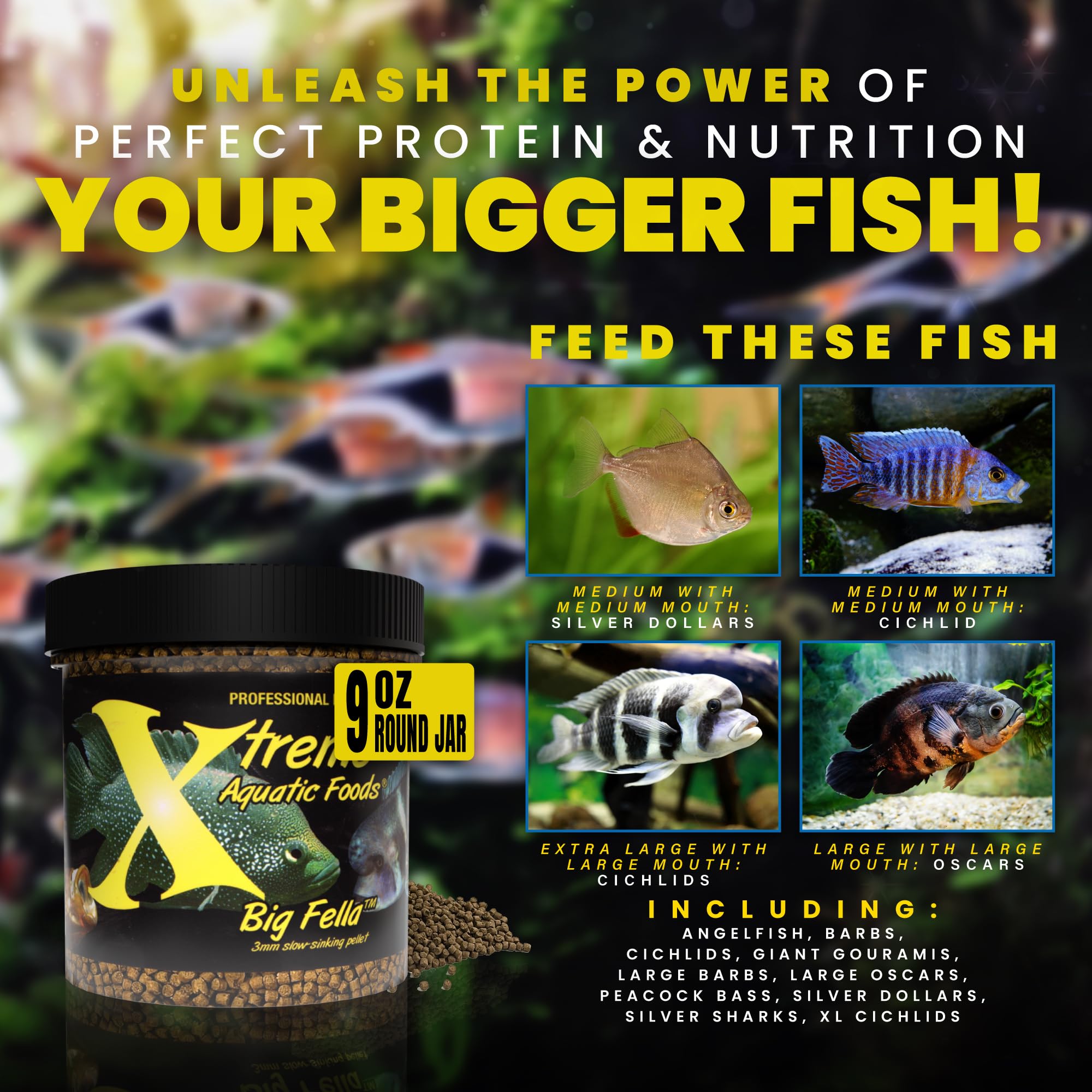 Xtreme Big Fella ingrédients krill crevette calmar spiruline pour énergie