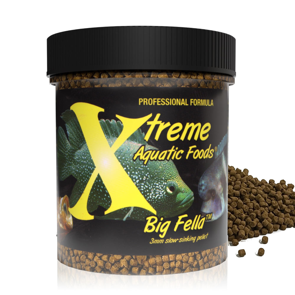 Xtreme Big Fella paquet face montrant présentation et quantité