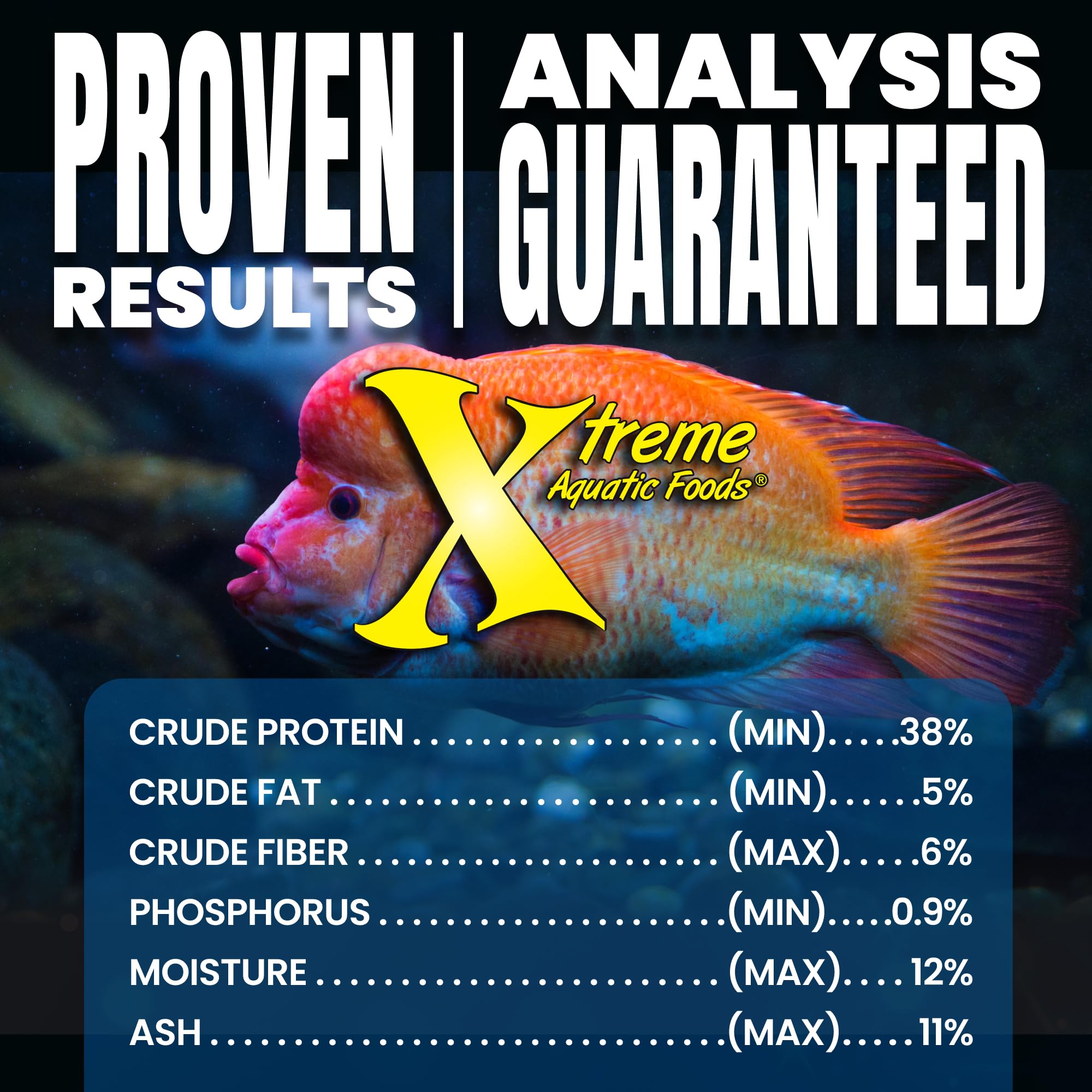 Xtreme Big Fella poisson mangeant granulés démontrant appétence