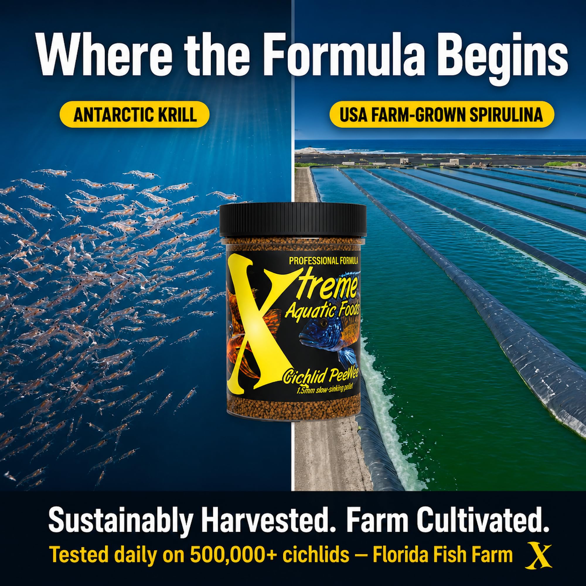 Xtreme Aquatic Foods granulés dispersés dans aquarium favorisant comportement naturel