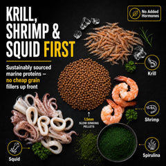 Xtreme Aquatic Foods granulés 1,5 mm dans la main illustrant taille et prise facile