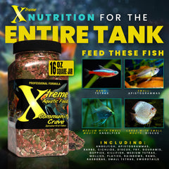 Détail spiruline riche Xtreme Community Crave illustrant pigments naturels bénéfiques
