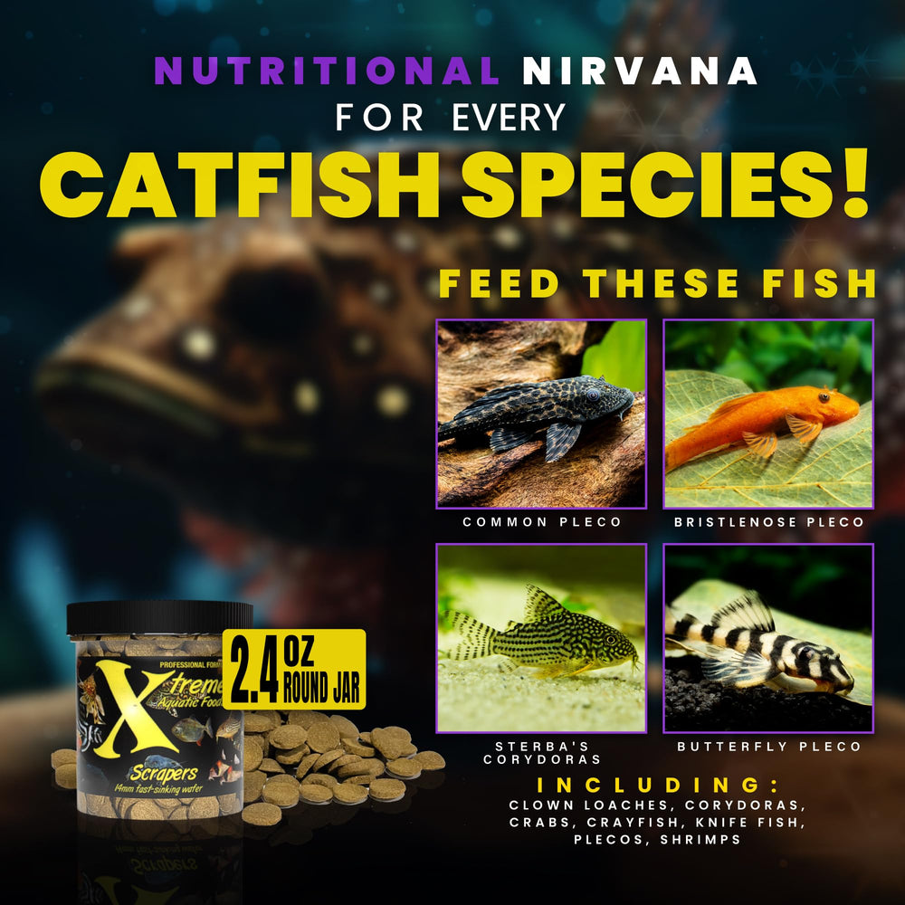 Xtreme Aquatic Foods vue latérale de la pastille montrant densité et tenue prolongée