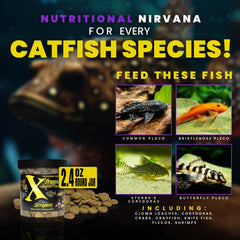 Xtreme Aquatic Foods vue latérale de la pastille montrant densité et tenue prolongée