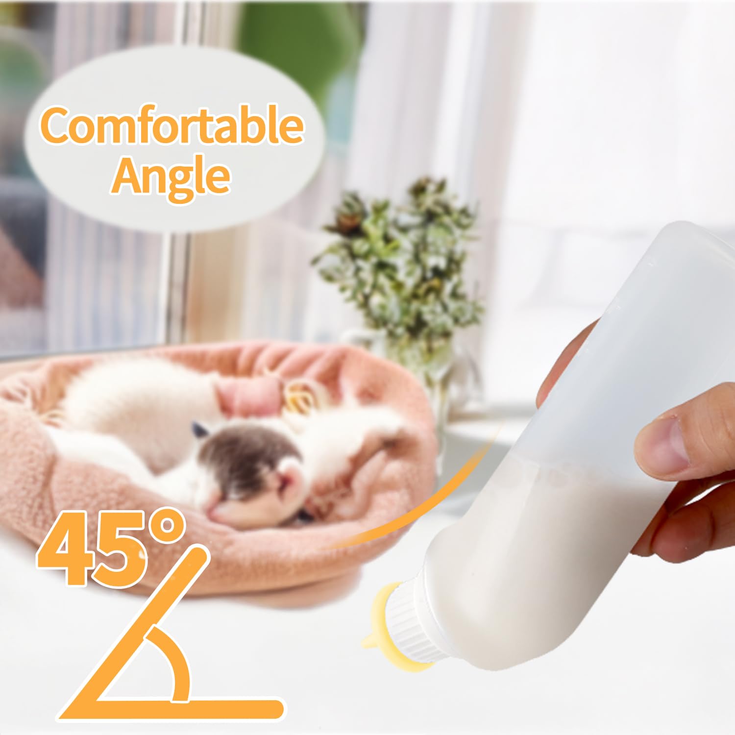 Xuandea comparaison taille mains illustrant dimensions compactes