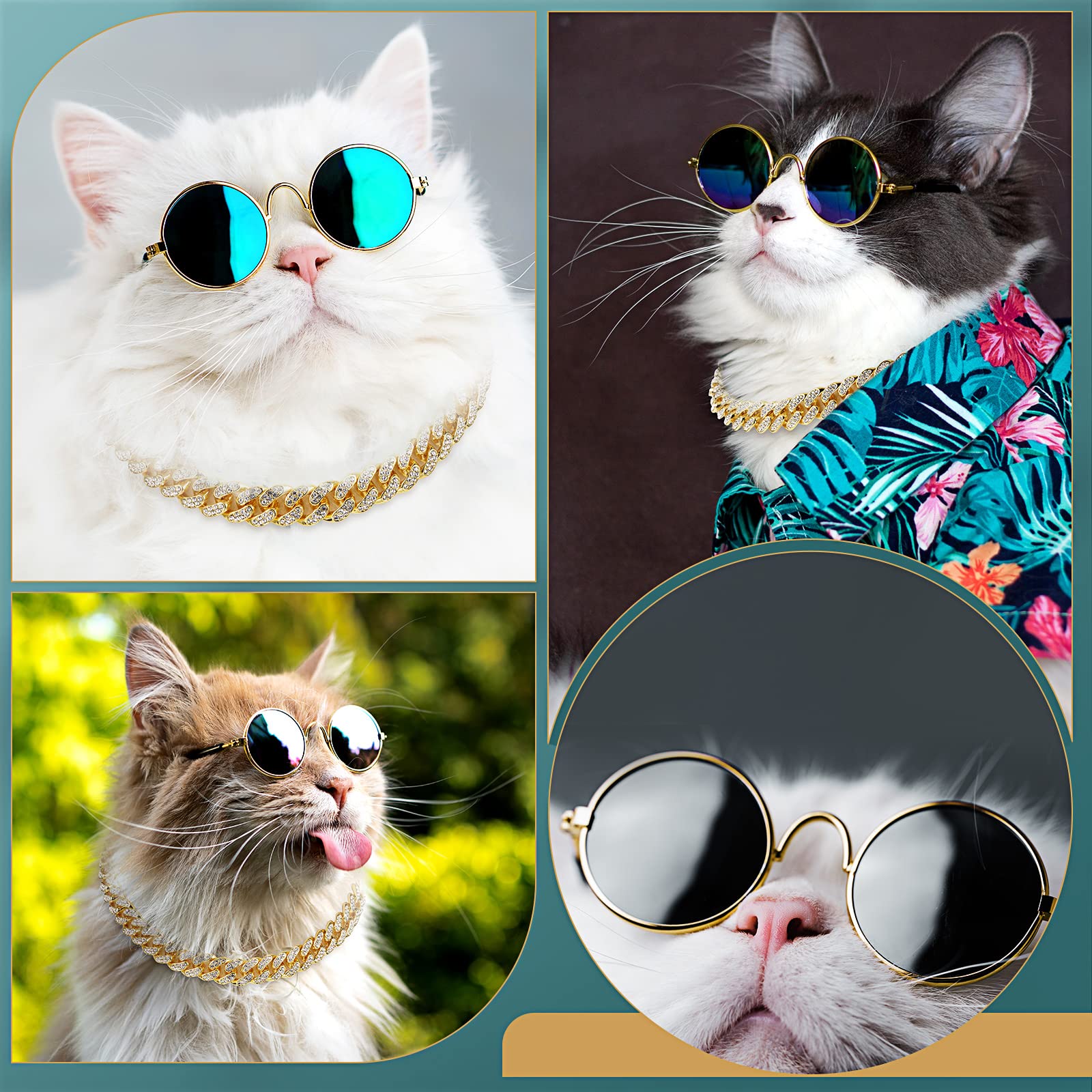 Xuniea petit chien portant lunettes et collier pour séance photo amusante