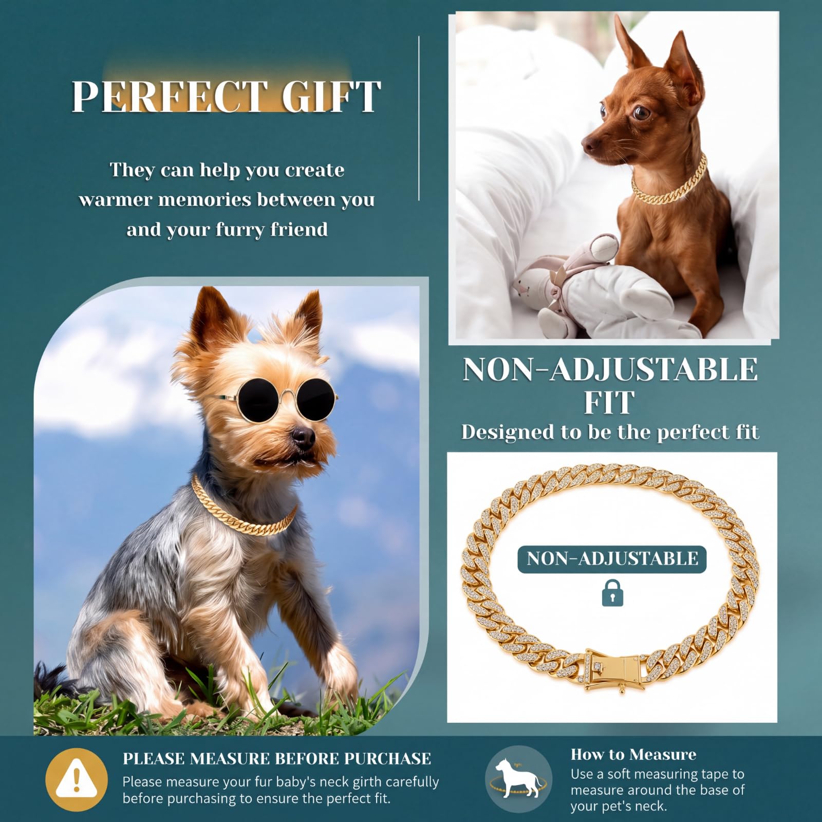 Xuniea comparaison taille montrant proportions adaptées aux petits animaux