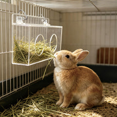 Xymoso mangeoire en usage dans une cage avec lapin réduisant le désordre