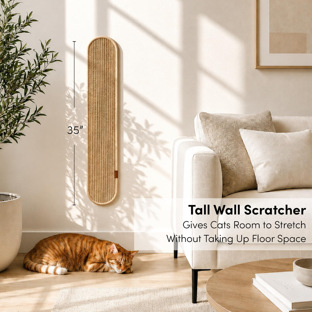 xympo texture sisal naturel gros plan pour durabilité et adhérence