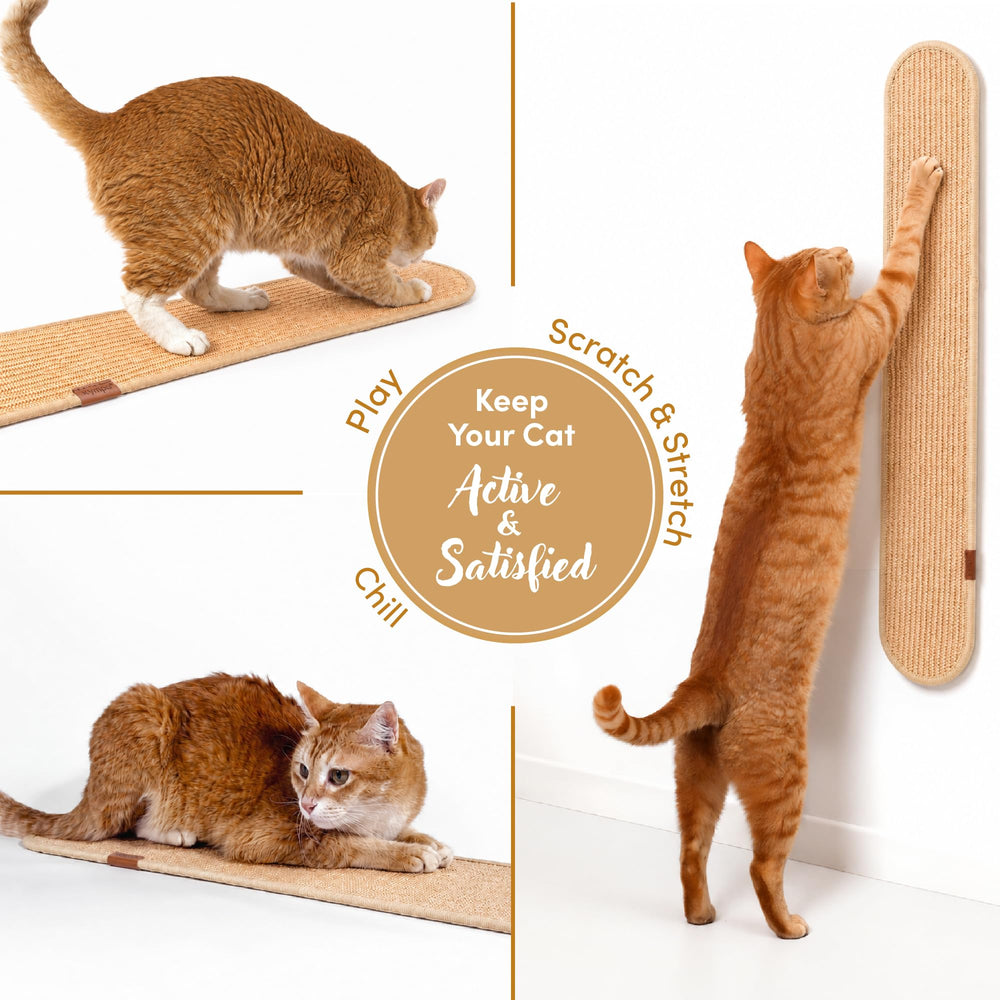 xympo grattoir plié en coin protégeant angle et convenant aux chatons