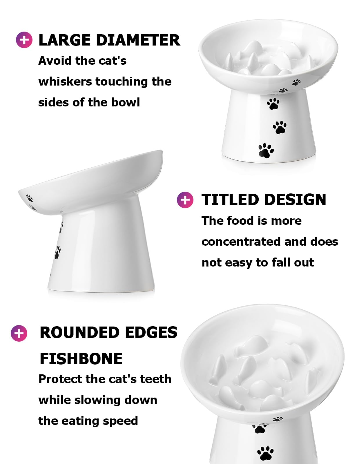 Y YHY comparaison taille avec chat utile pour choisir dimensions