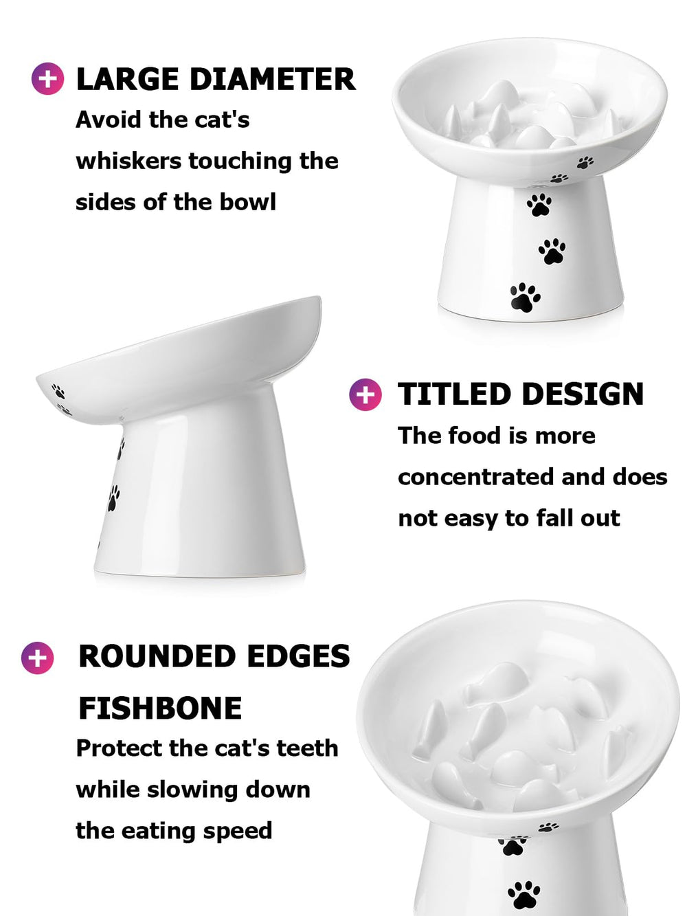 Y YHY comparaison taille avec chat utile pour choisir dimensions