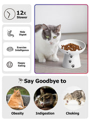 Y YHY gamelle en usage avec chat réduisant renversements