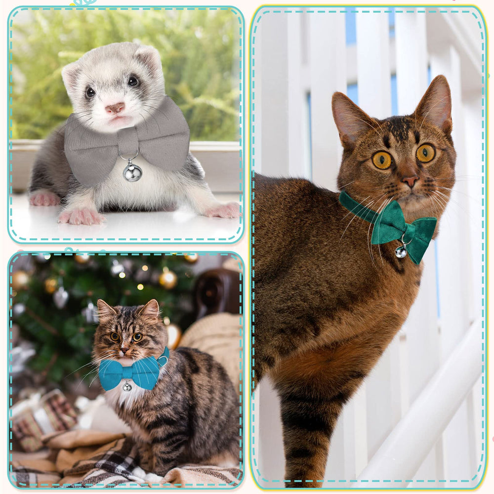 Yahenda chat portant collier en contexte maison élégant et sûr