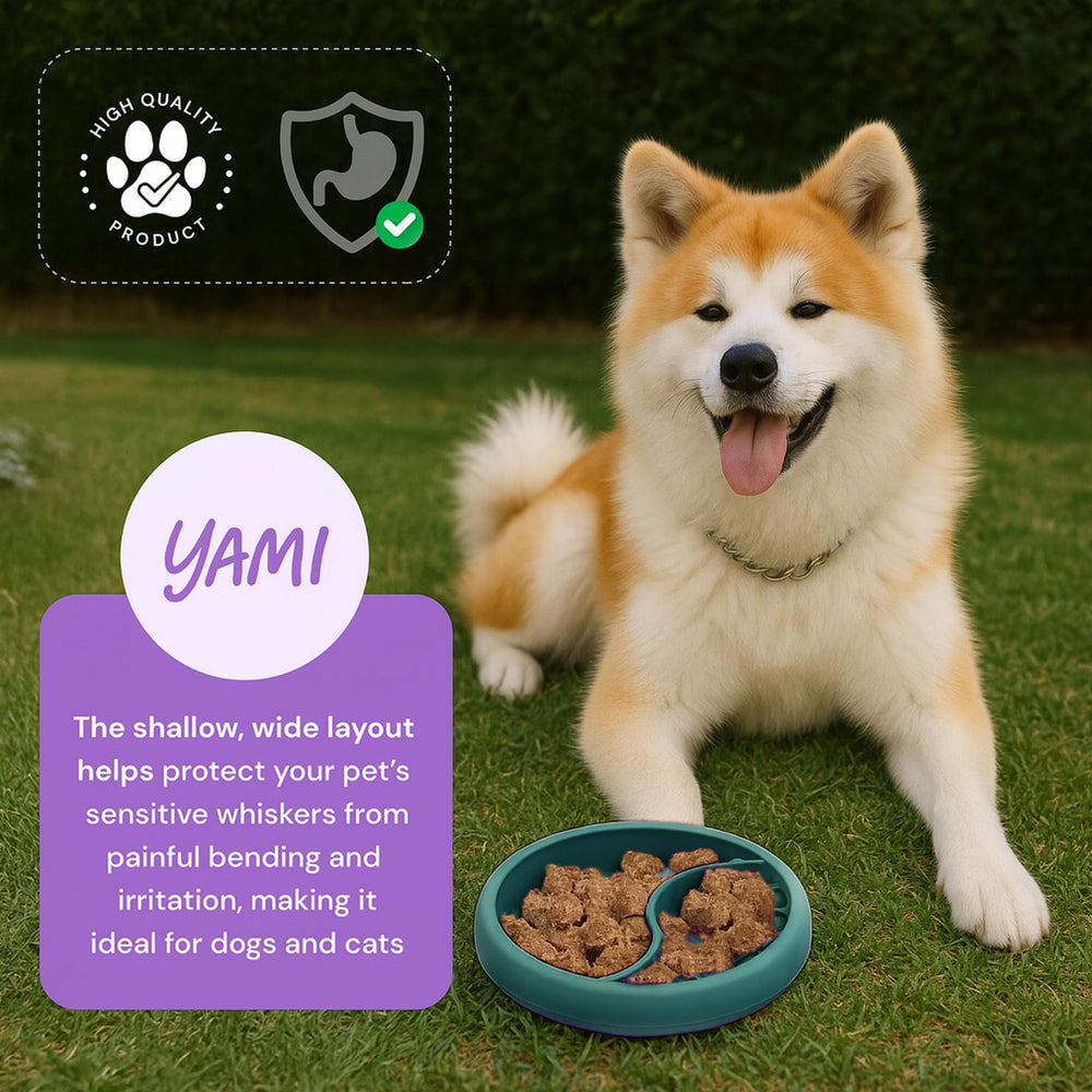 YAMI bol posé dans un intérieur montrant usage quotidien convivial