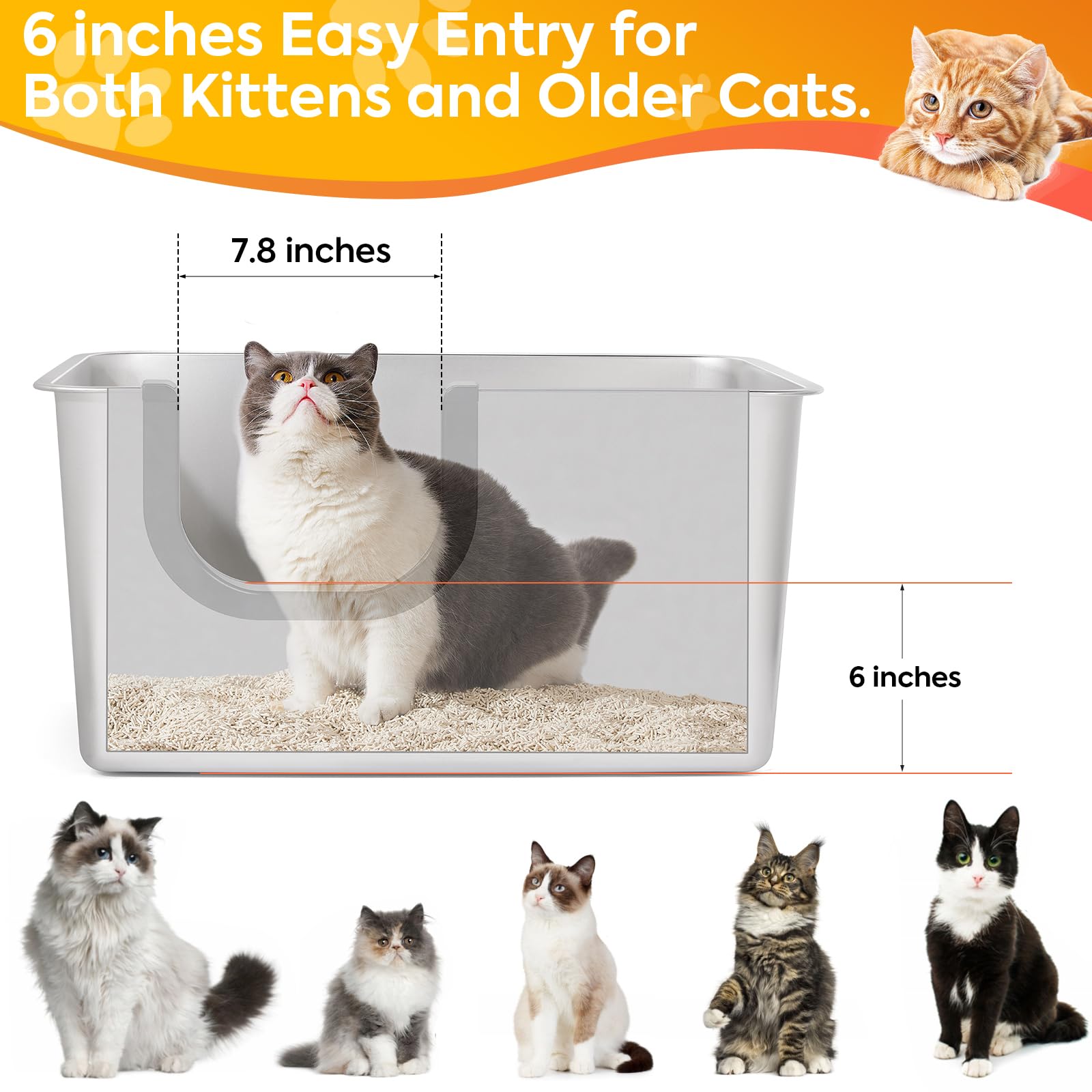 Yangbaga comparaison taille illustrant espace pour chats grands