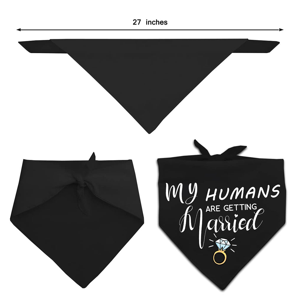 Yangmics Direct chien portant bandana en extérieur parfait pour photos