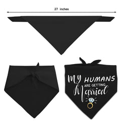Yangmics Direct chien portant bandana en extérieur parfait pour photos