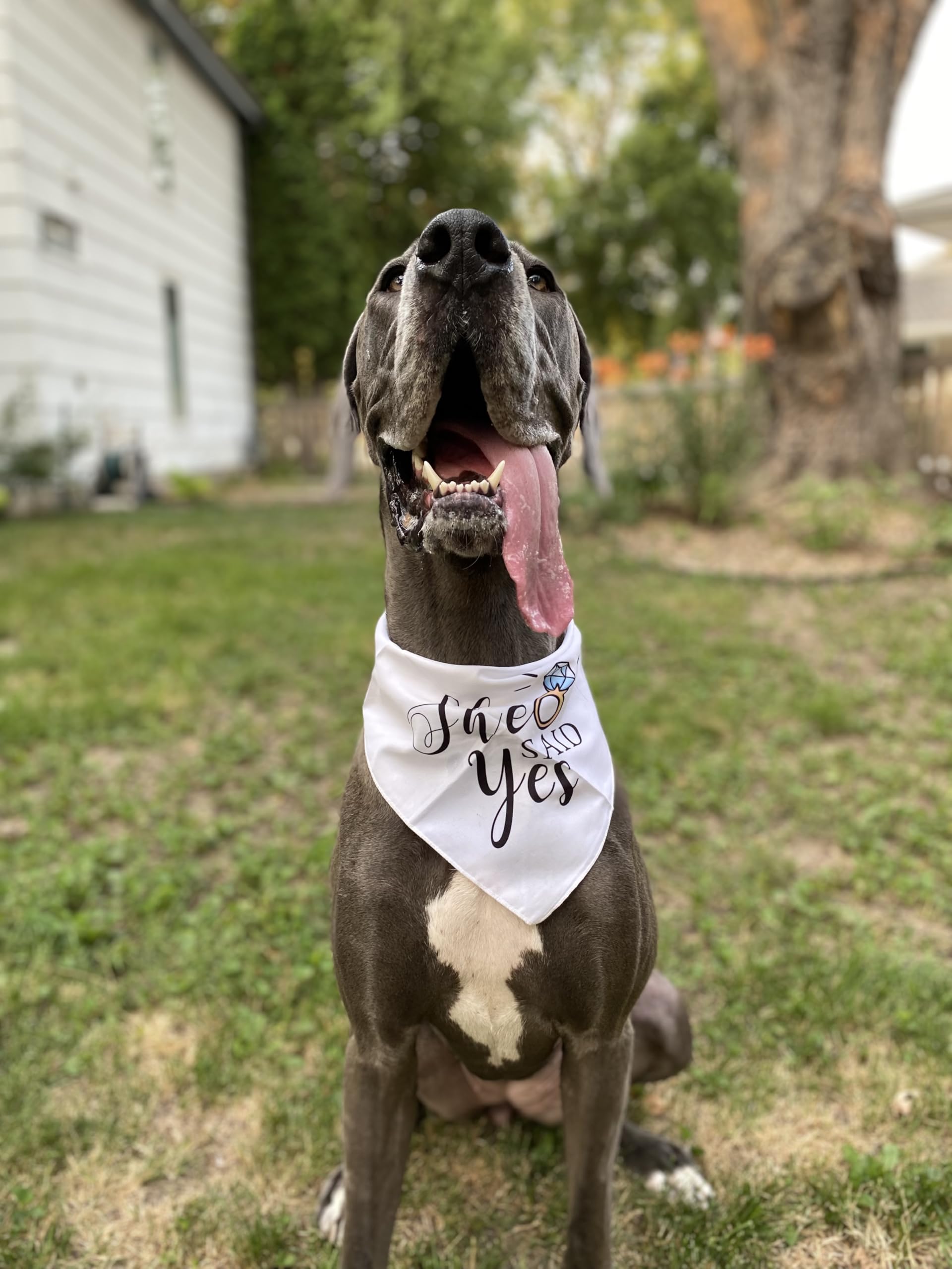 Yangmics Direct ambiance mariage montrant bandana intégrée au style nuptial